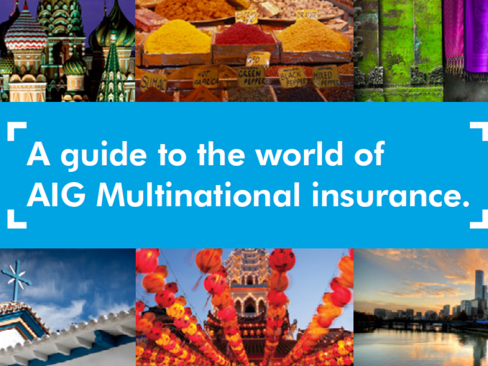 AIG Multinational Interactive PDF